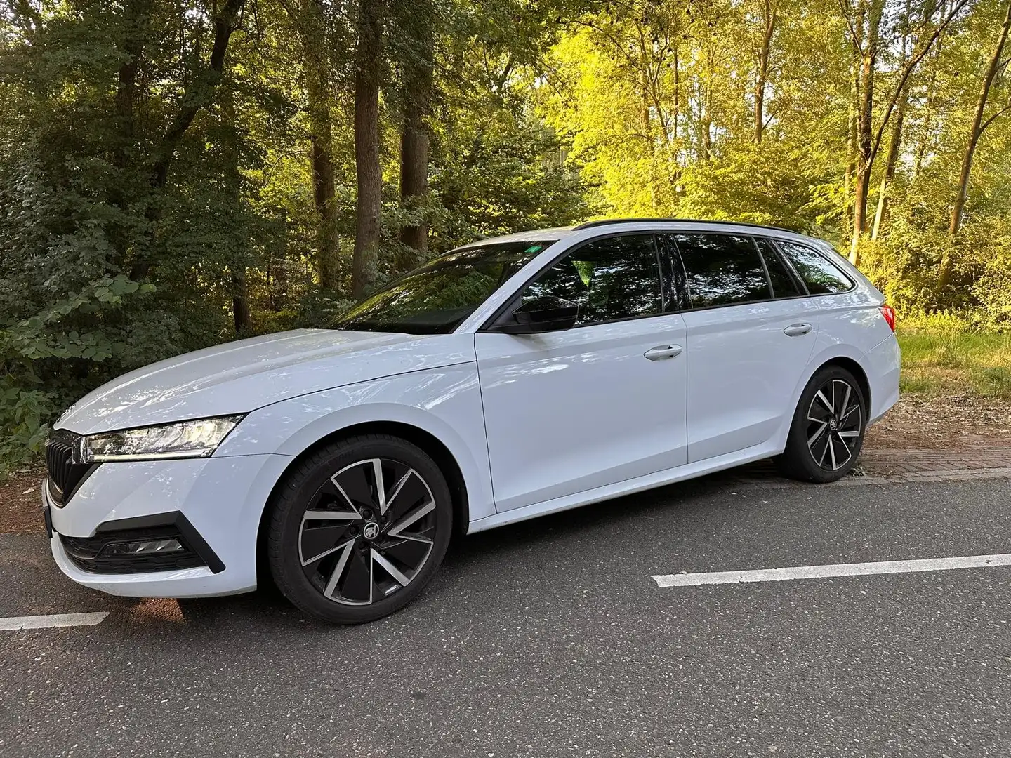 Skoda Octavia Octavia 1.0 e-TSI Sport Bns Bianco - 1