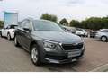 Skoda Kamiq 1,0 TSI Ambition /KAM/AHK/PDC/SHZ Gris - thumbnail 1