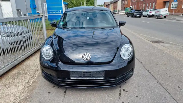 Volkswagen Beetle view 3