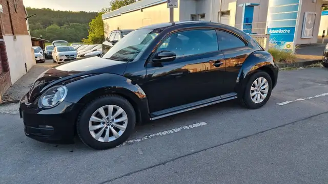 Volkswagen Beetle view 6