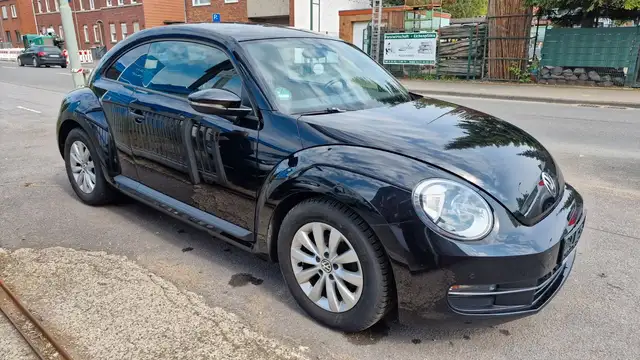Volkswagen Beetle view 12