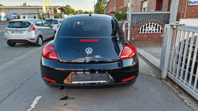 Volkswagen Beetle view 15