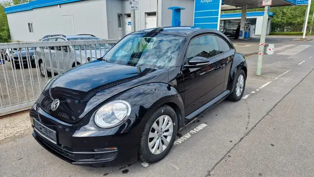 Volkswagen Beetle view 11