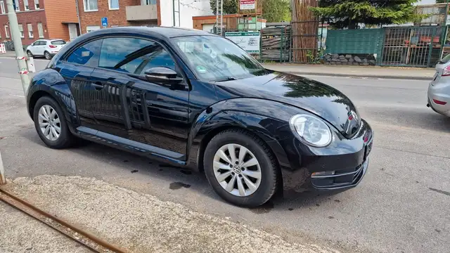 Volkswagen Beetle view 5