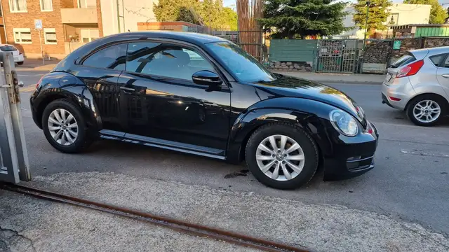 Volkswagen Beetle view 13