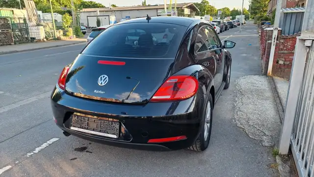 Volkswagen Beetle view 14
