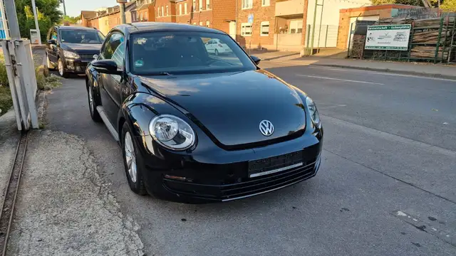Volkswagen Beetle view 8