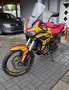 Honda CRF 1100 Yellow - thumbnail 2