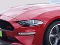Ford Mustang 5,0 Ti-VCT V8 GT Cabrio Aut. Rot - thumbnail 8