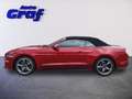 Ford Mustang 5,0 Ti-VCT V8 GT Cabrio Aut. Rot - thumbnail 6