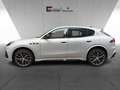 Maserati Grecale TROFEO MY25 5 Jahre Garantie FUORISERIE Weiß - thumbnail 2
