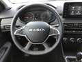Dacia Sandero Stepway TCe 100 ECO-G Expression SHZ PDC RFK Grau - thumbnail 12