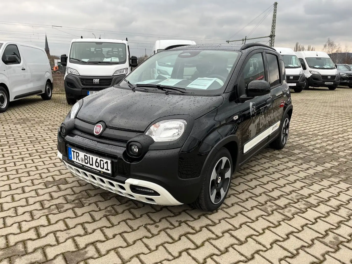 Fiat Panda Pandina Cross - Abverkauf - Schwarz - 1