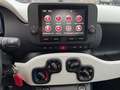 Fiat Panda Pandina Cross - Abverkauf - Schwarz - thumbnail 14