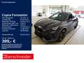 CUPRA Formentor 2.0 TSI DSG 4Drive VZ 19 DCC MATRIX BE Grau - thumbnail 1