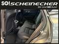 Volvo XC60 T6 AWD PHEV 18,8kWh Plus Dark Aut. Grün - thumbnail 12