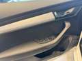 Skoda Karoq 2.0 TDI SCR 4x4 DSG Selection Bianco - thumbnail 10