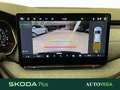 Skoda Octavia wagon 2.0 tdi executive 150cv dsg Nero - thumbnail 18