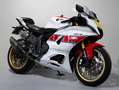 Yamaha YZF-R7 World GP 60th Anniversary - thumbnail 2