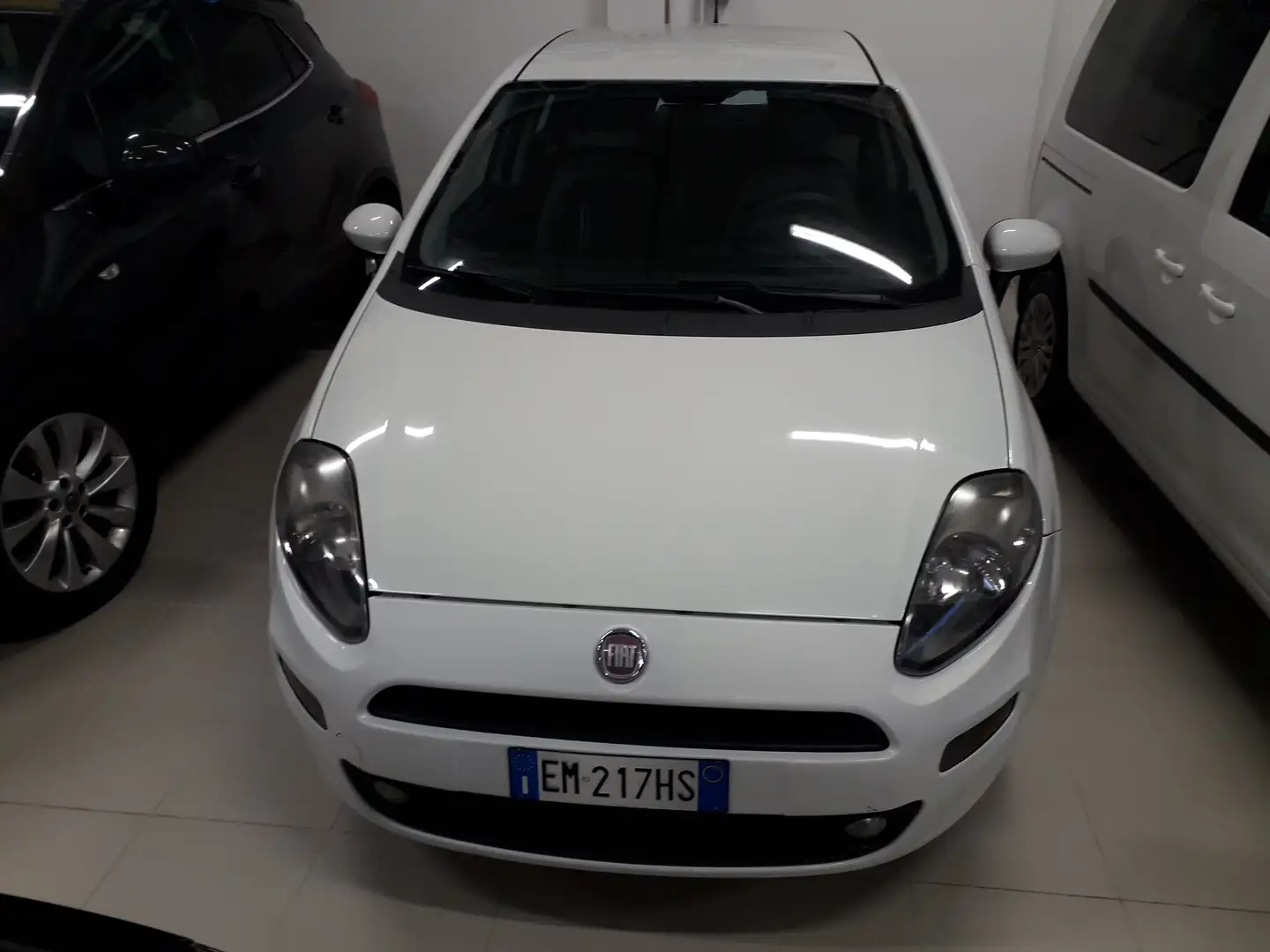 Fiat Punto 5p 1.3D mj - Per Neopatentati Bianco - 2
