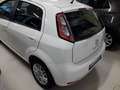 Fiat Punto 5p 1.3D mj - Per Neopatentati Bianco - thumbnail 4