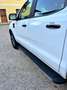 Ford Ranger Doppelkabine+Wildtrak+4x4+2,0+EcoBlue+Aut. Weiß - thumbnail 21