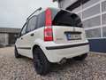 Fiat Panda Panda 1.2 Perlino! Perlmuttweiss! Leder! Weiß - thumbnail 6