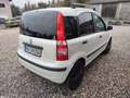 Fiat Panda Panda 1.2 Perlino! Perlmuttweiss! Leder! Weiß - thumbnail 4