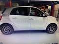 smart forFour 66 Passion Blanco - thumbnail 2