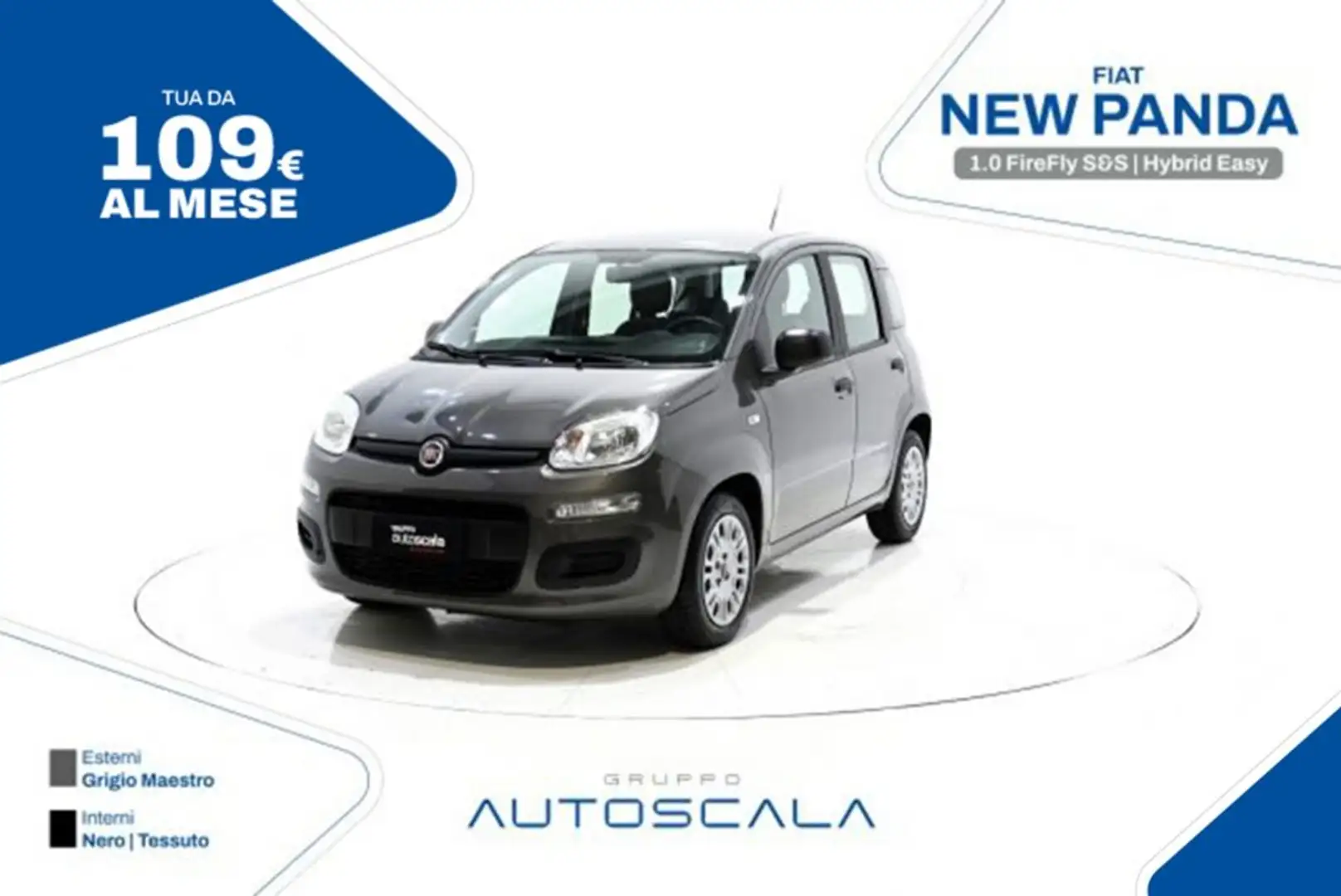 Fiat New Panda 1.0 FireFly S&S Hybrid Easy Argento - 1