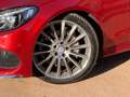 Mercedes-Benz C 220 d Cabrio AMG-LINE BURMEISTER Airscarf Rot - thumbnail 13