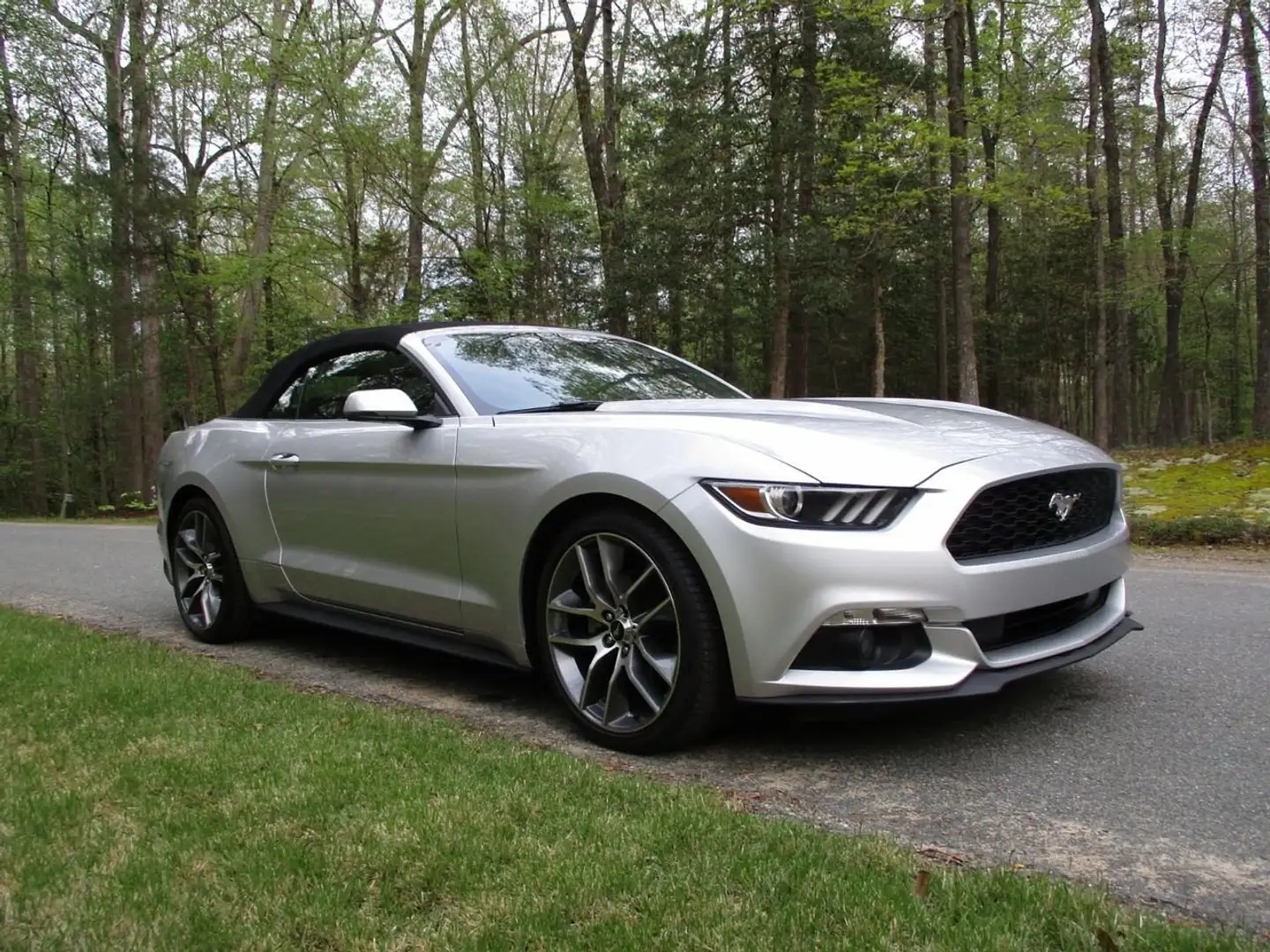 Ford Mustang Mustang Cabrio 2.3 Eco Boost Silber - 1