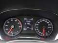 SEAT Ibiza 1.0 TSI Style (Ecc/Cruise/Carplay) Grijs - thumbnail 8