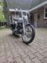 Harley-Davidson Softail FXSTI Softail Grijs - thumbnail 30