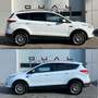 Ford Kuga 2,0 TDCi Titanium 4x4 Aut. Weiß - thumbnail 7