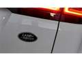 Land Rover Range Rover Evoque 2.0 D150 R-Dynamic AUTO 4WD - thumbnail 14