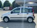 Fiat Panda 1.1 Actual Argento - thumbnail 3