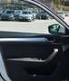 Skoda Superb Superb Kombi 2,0 TDI DSG MATRIX VIRTUAL ST-HZ 1.B Weiß - thumbnail 14