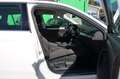 Skoda Superb Superb Kombi 2,0 TDI DSG MATRIX VIRTUAL ST-HZ 1.B Weiß - thumbnail 15
