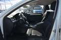 Skoda Superb Superb Kombi 2,0 TDI DSG MATRIX VIRTUAL ST-HZ 1.B Weiß - thumbnail 5