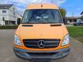 Mercedes-Benz Sprinter 316 CDI KA L2H2 Klima AHK Orange - thumbnail 2