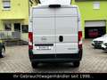 Opel Movano C 2.2 CDTI L3H2 Hochdach Edition NAVI/CAM Weiß - thumbnail 6