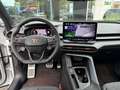 CUPRA Terramar 1.5 TSI e-Hybrid Business 204 PK | 360 Graden Came Weiß - thumbnail 10
