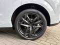 CUPRA Terramar 1.5 TSI e-Hybrid Business 204 PK | 360 Graden Came Weiß - thumbnail 14