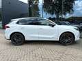 CUPRA Terramar 1.5 TSI e-Hybrid Business 204 PK | 360 Graden Came Weiß - thumbnail 5