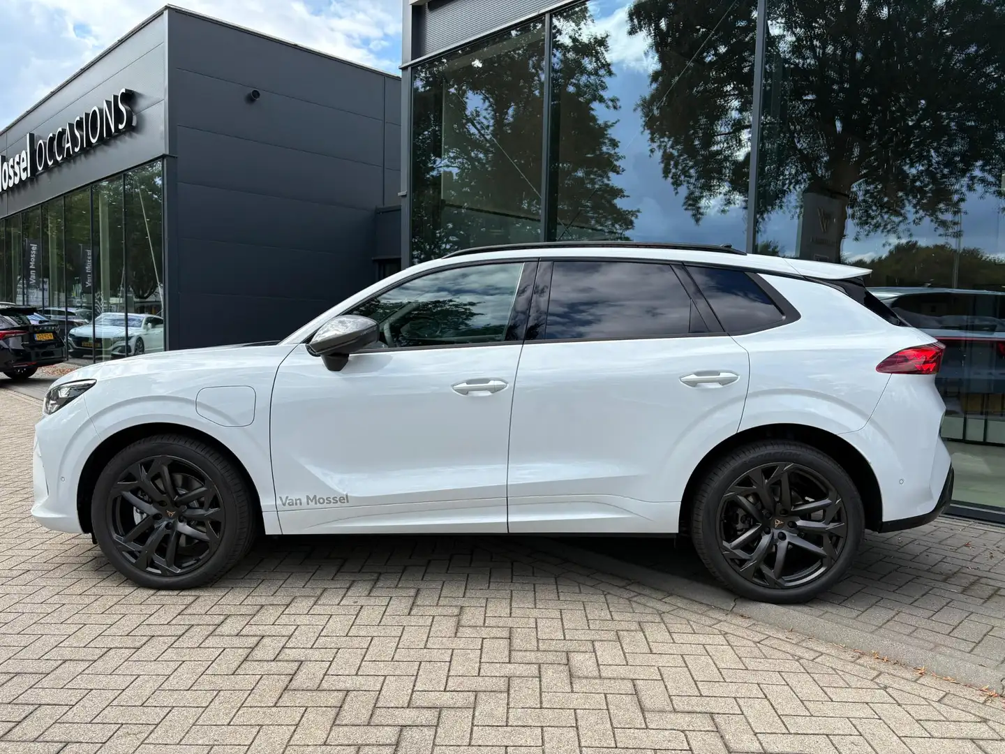 CUPRA Terramar 1.5 TSI e-Hybrid Business 204 PK | 360 Graden Came Weiß - 2