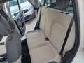 Fiat Panda Panda 1.2 69cv Beige - thumbnail 10