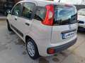 Fiat Panda Panda 1.2 69cv Beige - thumbnail 14