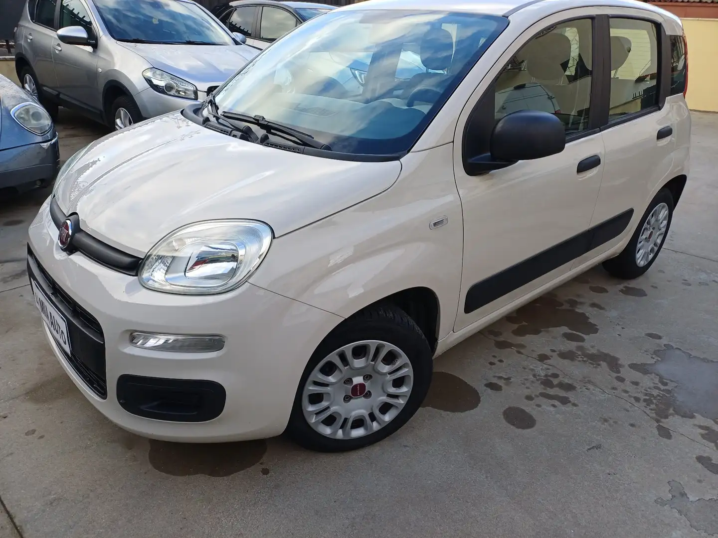 Fiat Panda Panda 1.2 69cv Beige - 1