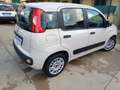 Fiat Panda Panda 1.2 69cv Beige - thumbnail 13